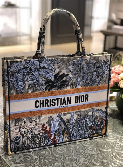 christian dior bags in paris